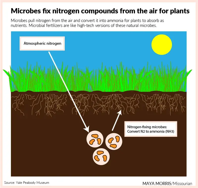 Can Technology Help Find a Better Fertilizer? Pulitzer Center